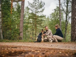 Pinewood Wolf Shirt Offwhite/Brown -Darts Verkäufe 1 53290611006r 4
