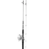 Daiwa Silvercast Blister Combo