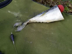 Quantum Mr. Pike Bait Pop Up Kit Red (3pcs) -Darts Verkäufe 22 6240001 3