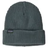 Patagonia Fishermans Rolled Beanie Plume Gray