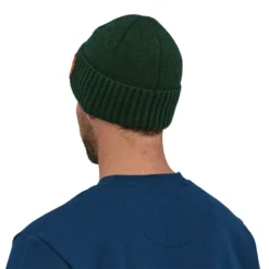 Patagonia Brodeo Beanie Clean Climb Patch Pinyon Green 5 Patagonia Brodeo Beanie Clean Climb Patch Pinyon Green -Darts Verkäufe 29206 CCPI ALL 3