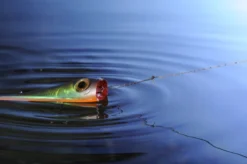 Knot 2 Kinky 1x1 Titanium 4,5m -Darts Verkäufe AQ NT00815Cr 6