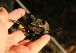 Fox Grappling Marker Lead 3 Fox Grappling Marker Lead -Darts Verkäufe CLD230r 2