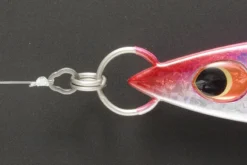 Decoy R-6 G.P. Ring 10 Decoy R-6 G.P. Ring -Darts Verkäufe DR63r 5