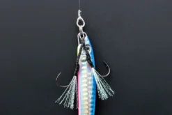 Decoy R-6 G.P. Ring 11 Decoy R-6 G.P. Ring -Darts Verkäufe DR63r 6