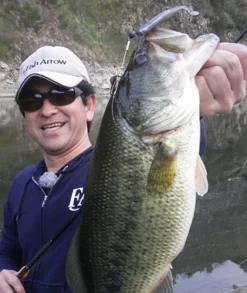 Fish Arrow J Buzz -Darts Verkäufe FA 4562178065039r 4