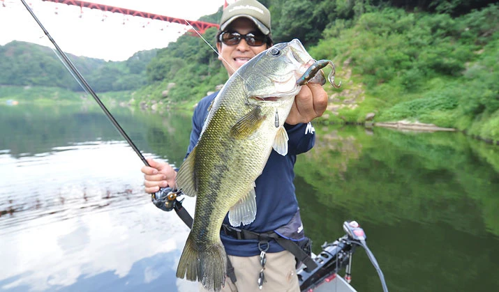 Fish Arrow Free Rig Sinker Tungsten 5 Fish Arrow Free Rig Sinker Tungsten – Bild 5