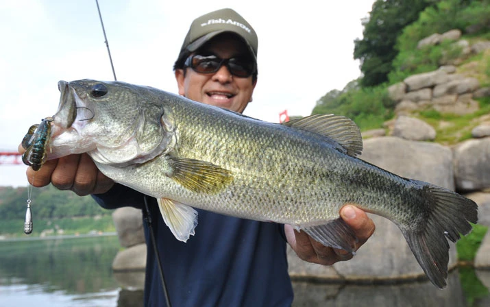 Fish Arrow Free Rig Sinker Tungsten 6 Fish Arrow Free Rig Sinker Tungsten – Bild 6