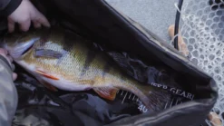 FKP-Gear Perch Station 10 FKP-Gear Perch Station -Darts Verkäufe FKPPERCHSTATION 5