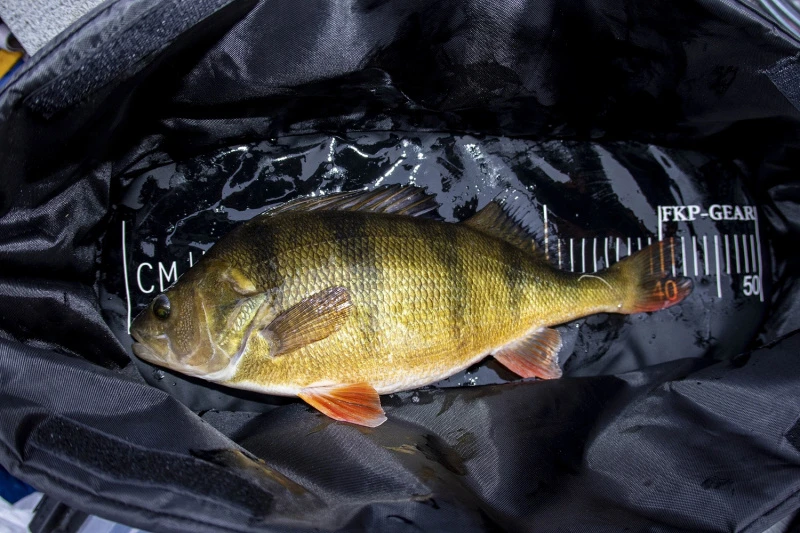 FKP-Gear Perch Station 6 FKP-Gear Perch Station – Bild 6