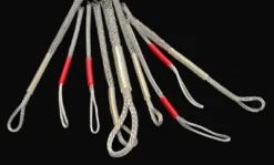 Guideline Roman Moser Minicon