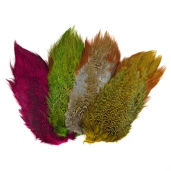 Ringneck Pheasant Rump Patch