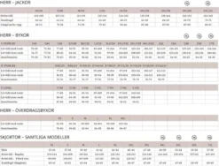 Pinewood Bolmen Set 11 Pinewood Bolmen Set -Darts Verkäufe PINEBOLMENSET 6
