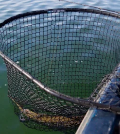 Drifter Tackle Predator Net 48 Black Handle -Darts Verkäufe PR40XXL BKr 5