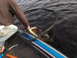 Drifter Tackle Predator Net 48 Black Handle -Darts Verkäufe PR40XXL BKr 6