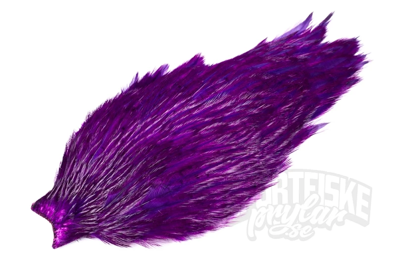 Whiting Special Lila Nackar 1 Whiting Special Lila Nackar