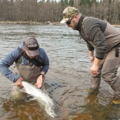 Vision Koski STKFT Wader 11 Vision Koski STKFT Wader -Darts Verkäufe V4800 XSr 6